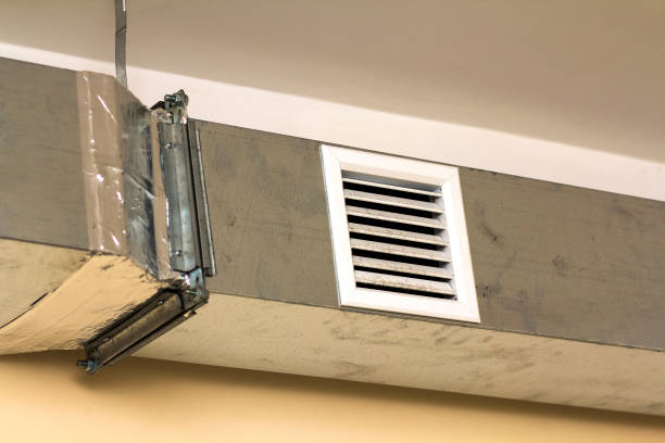 Best Air Duct Sanitizing Services  in Puxico, MO
